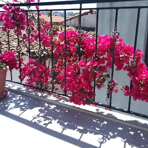 Hotel Casa Magnolia Boutique, Kusadasi